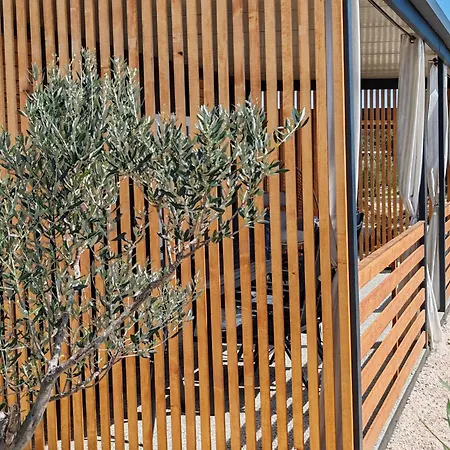 Dom wakacyjny New! Mobile Domina Near The With Shared Pool